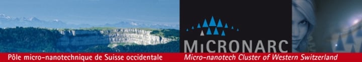 I. Conference Announcement – Micronarc Alpine Meeting (MAM2010)